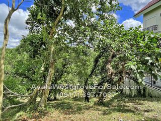 Ayala Westgrove Heights Silang Cavite 477 sqm Lot for Sale