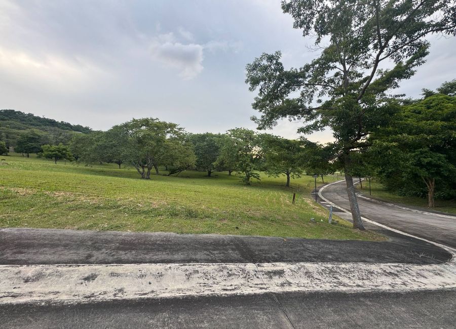 Spine Road, Ayala Greenfield Estates, Maunong, Calamba, Laguna image 3
