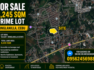 Strategically Located Vacant Lot Near Cebu South Road – Minglanilla, Cebu for Residential or Investment Use