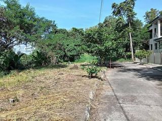 RIDGE LOT FOR SALE – Hillsborough Pointe