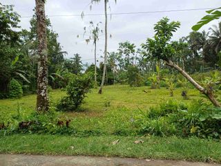 tanah murah di tegalalang ubud
