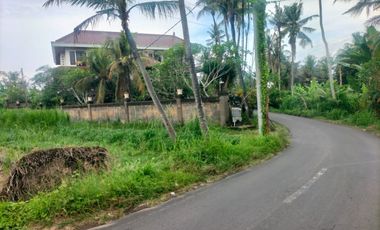 BUC 10 Are Pinggir Jalan Utama Pering Gianyar Bali