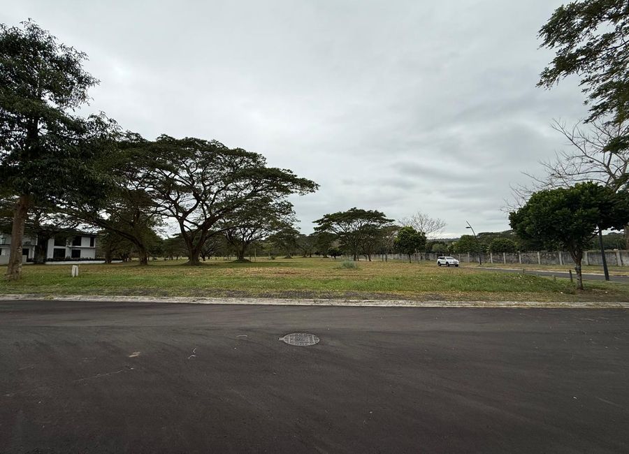 Chipeco Avenue Extension, Real, Calamba, Laguna image 3