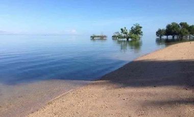 Income Generating Beach Property in Tuburan Cebu  for sale