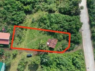 lot only for sale in Panglao Ideal for Business / Commercial