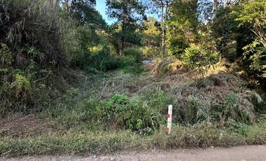 Montecello , Camp 7 ,Baguio City lot for sale