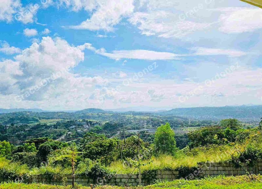 Forest Hills Avenue, Lower Tulakin, Bagong Nayon, Antipolo, Rizal