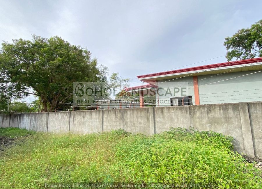 place photo 34