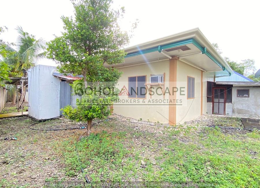 place photo 37