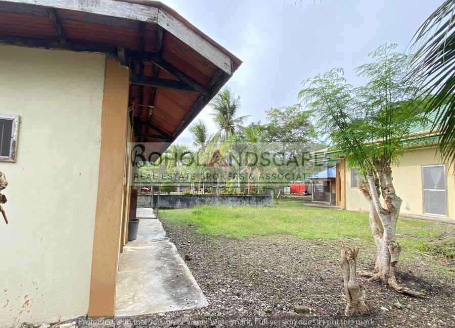 place photo 43