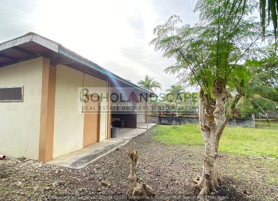 place photo 45