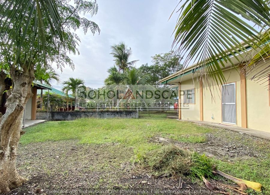 place photo 46