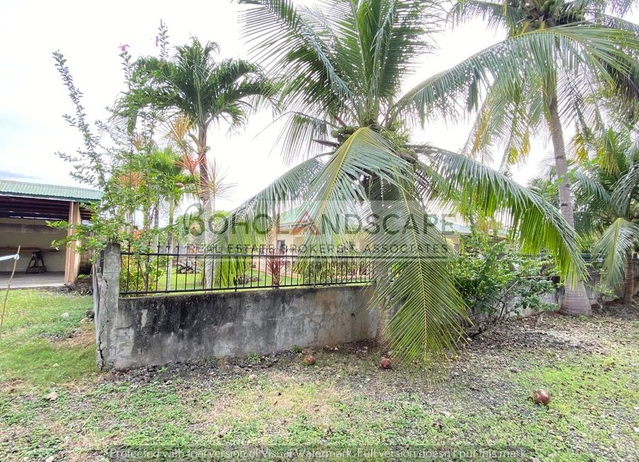 place photo 51