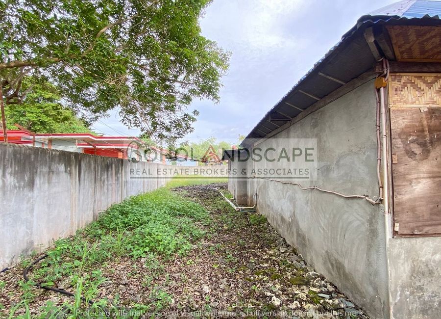 place photo 62