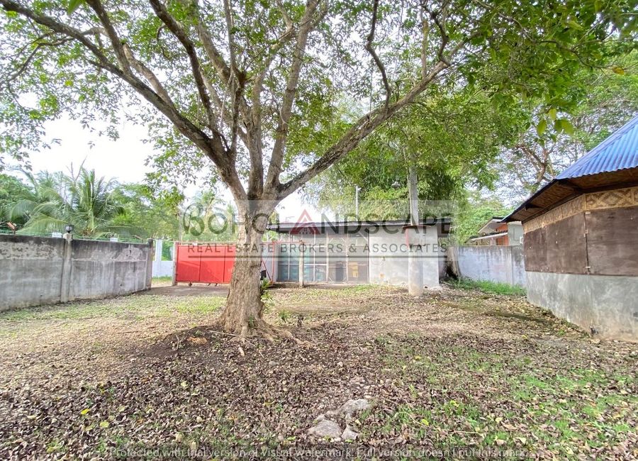 place photo 57