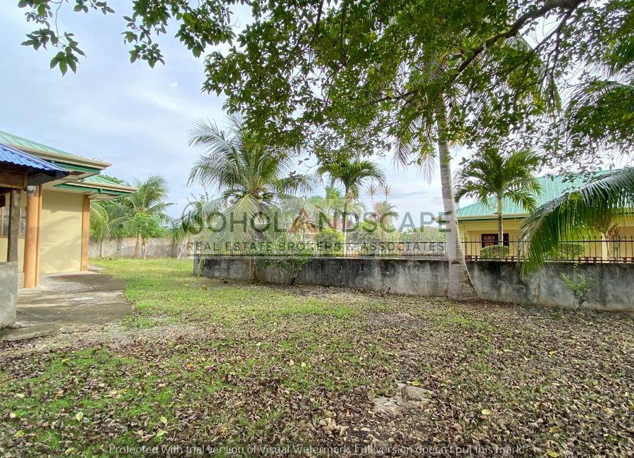 place photo 59