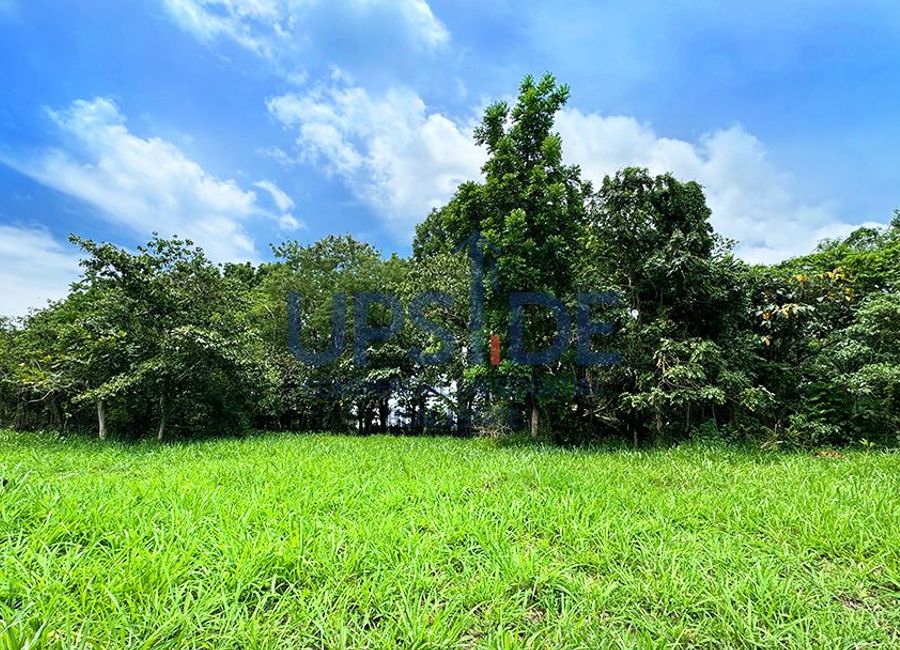 Nuvali-Casile-Mount Sungay Road, Casile, Pittland, Cabuyao, Laguna image 3