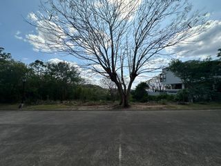 Kawayan Cove | Residential Lot For Sale - #9649