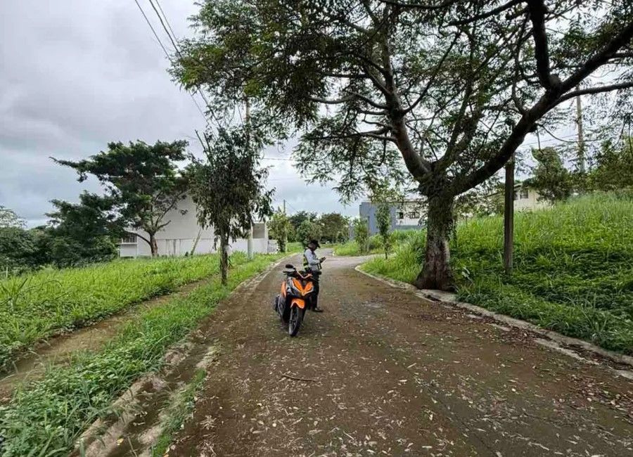 Amazon Street, Avida Woodhill Settings, Canlubang, Calamba, Laguna image 3