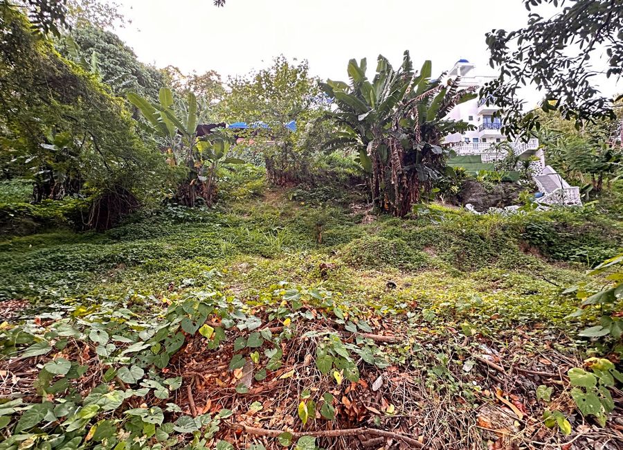 Summerville, Laguna Hills, Pansol, Calamba, Laguna image 2