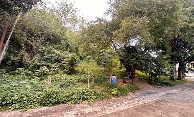 762 sqm. Resort Lot for sale in Laguna Hills Subdivision, Pansol, Laguna