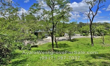 Ayala Westgrove Heights Silang Cavite 360 sqm Lot for Sale