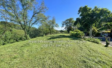Ayala Westgrove Heights Silang Cavite 523 sqm Lot for Sale