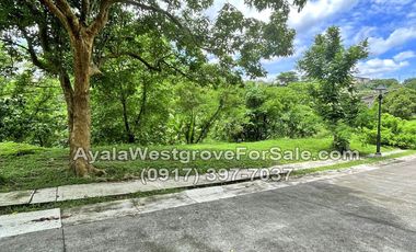 Ayala Westgrove Heights Silang Cavite 467 sqm Lot for Sale