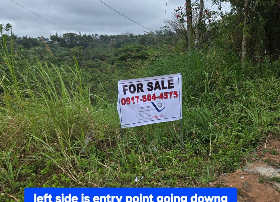 Purok 1, Sampaloc, Tanay, Rizal image 3