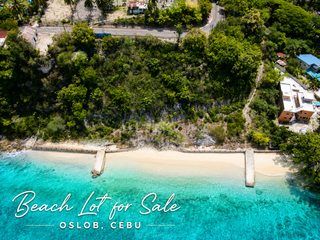White Sand Beachfront Lot for Sale in Oslob, Cebu