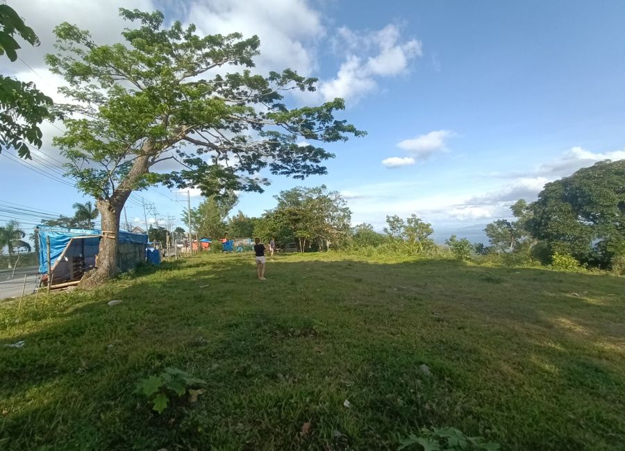 Dayap Itaas, Laurel, Batangas image 3