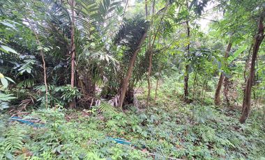 DIJUAL TANAH STRATEGIS – PELABUHANRATU, SUKABUMI