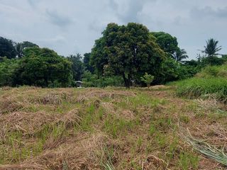6,204 sqm Lot in Tagaytay City For Sale