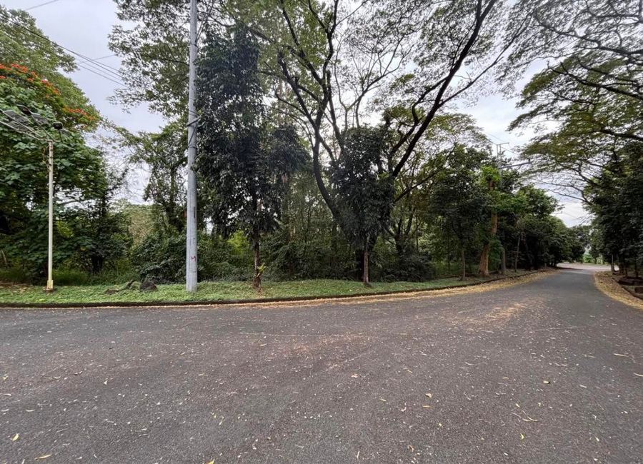 San Roque, Antipolo, Rizal image 2
