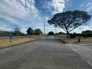 SUSANA HEIGHTS VILLAGE MUNTINLUPA CITY RESIDENTIAL LOTS FOR SALE❗️