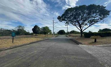 SUSANA HEIGHTS VILLAGE MUNTINLUPA CITY RESIDENTIAL LOTS FOR SALE