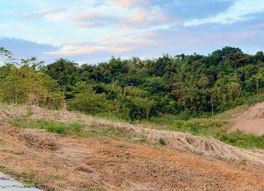 Marcos Highway, Bagong Nayon, Antipolo, Rizal image 2