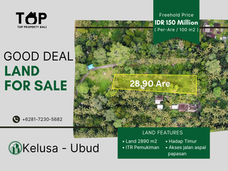 Tanah hak milik 2890 m2 atau 28,9 are di  jalan raya kelusa Ubud