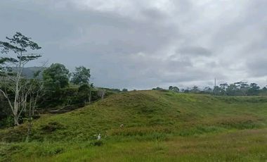 PREMIUM LOTS NEXT TO GAIA RESORT IN BUKIDNON, 2,083SQM 625K