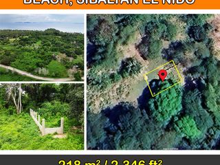 218 m2 / 2,346 ft2 | Tropical Estate Near Twin Beach, Sibaltan, El Nido