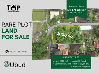 Tanah pinggir jalan keluar Ubud 10 are hak milik ada view sawah