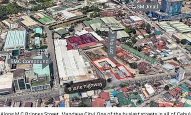 Commercial Mandaue  Lot for Sale