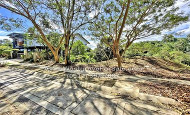 Ayala Westgrove Heights Silang Cavite 655 sqm Lot for Sale