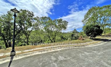 Ayala Westgrove Heights Silang Cavite 482 sqm Lot for Sale