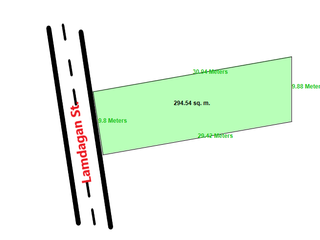 Commercial Property For Sale Along Roadside in Cogon, Tagbilaran City, Bohol