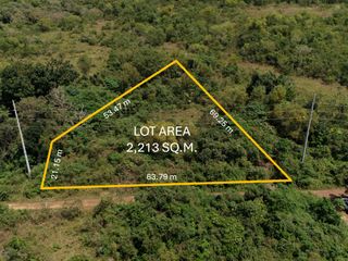 Affordable Lot for Sale in Dao, Dauis along Provincial Road