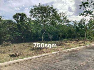 FARM LOT FOR SALE BESIDE GHOUSE PRIVATE RESORT IN ALFONSO CAVITE