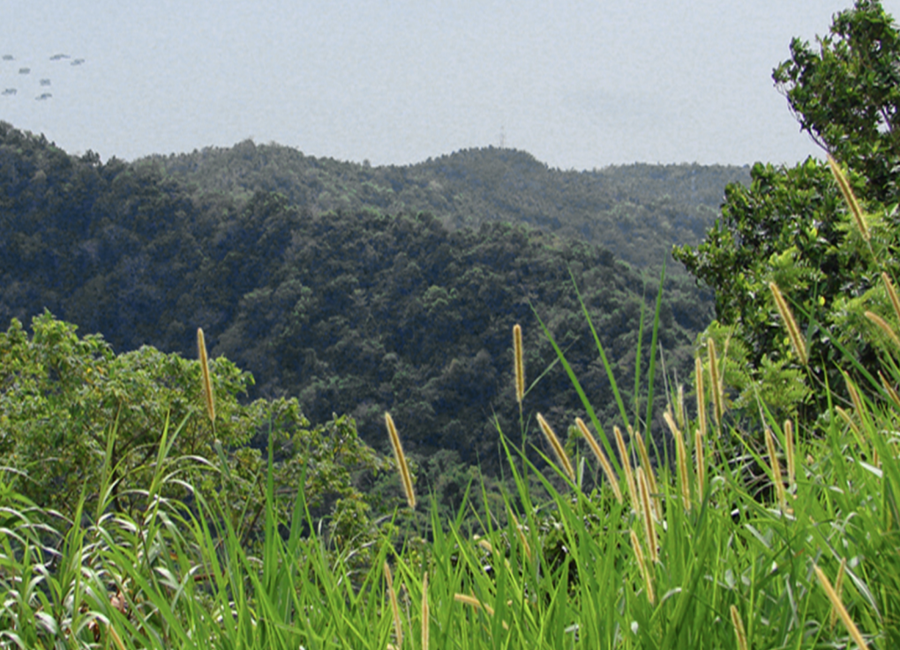 Talisay-Laurel-Agoncillo Road, Sampaloc, Berinayan, Laurel, Batangas