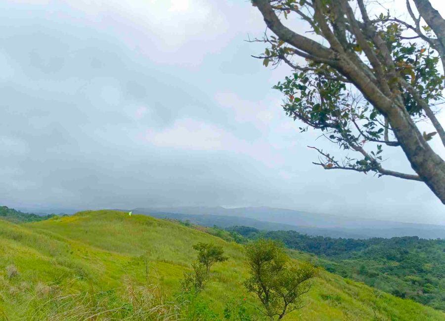 Purok 1, Sampaloc, Tanay, Rizal