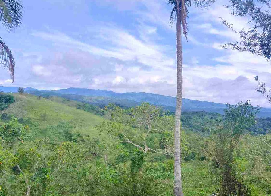 Purok 1, Sampaloc, Tanay, Rizal image 2